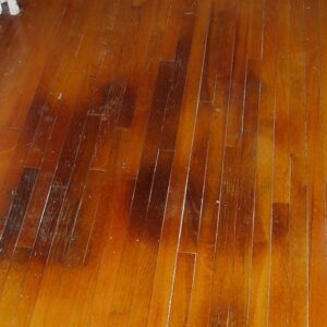 stain on hard wood floor