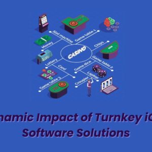 The Dynamic Impact of Turnkey iGaming Software Solutions