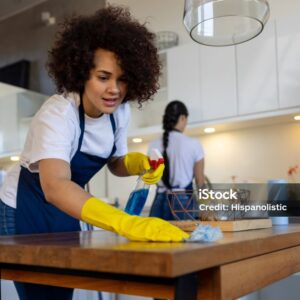 pro cleaning services