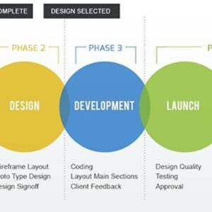 1 what are the steps in the website development process