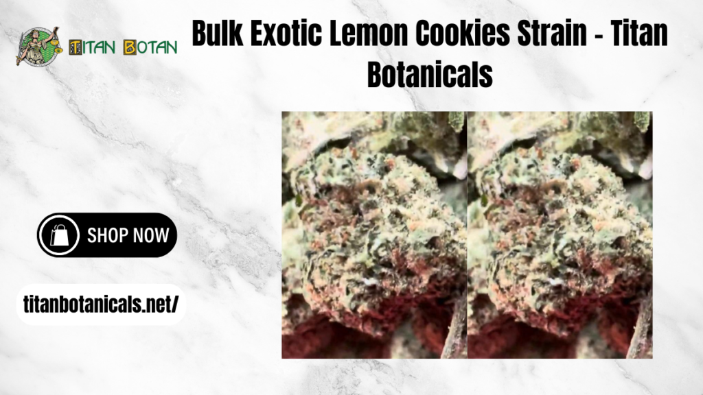 Bulk Exotic Lemon Cookies Strain