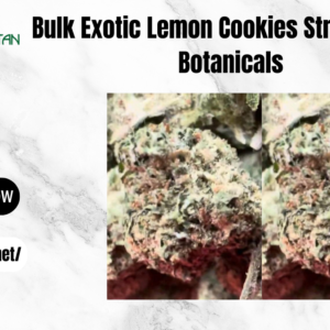 Bulk Exotic Lemon Cookies Strain