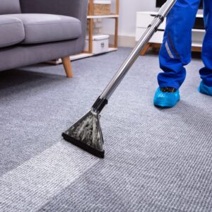Carpet Cleaning Services in Palm Beach FL