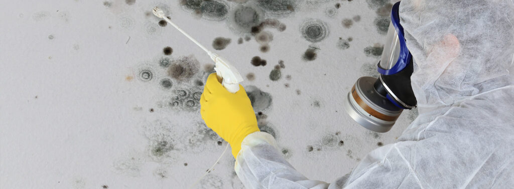 Commercial Mold Inspections Service in Pittsburgh PA