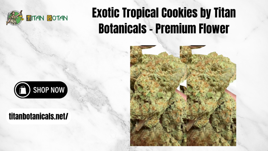 Exotic Tropical Cookies Strain