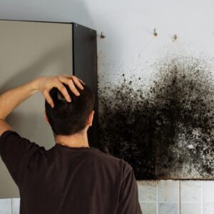 How It Is Possible To Permanently Eliminate Mold Odor