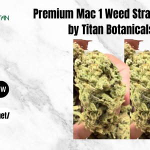 Mac 1 Weed Strain Exotic